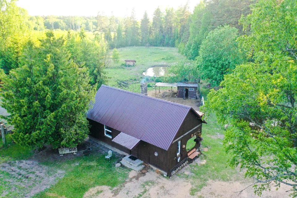 Private Farm Jakuzzi Sauna In The Forest ทาลซี ภายนอก รูปภาพ